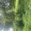 img-7452.jpg