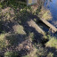 steps-to-the-moat.jpg