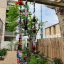 garden-my-london.png