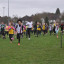 schoolsraces.jpg