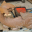 dsc-08458-2.jpg