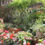 chesham-4.jpg