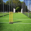 circket-net-stumps.jpg