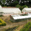vine-houses.png
