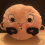 scottie-the-stottie-image.jpg