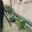 garden.jpg