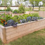 raised-garden-bed.jpg
