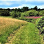 field-3-2.jpg
