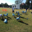 img-0913.jpg