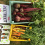 beetroots-and-carrots-2.jpg