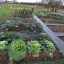 allotment-photo.jpg