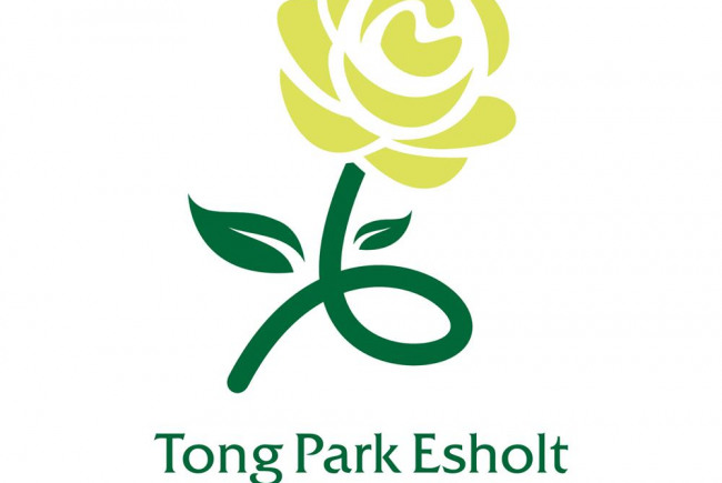 Tong Park Esholt Cricket For Juniors