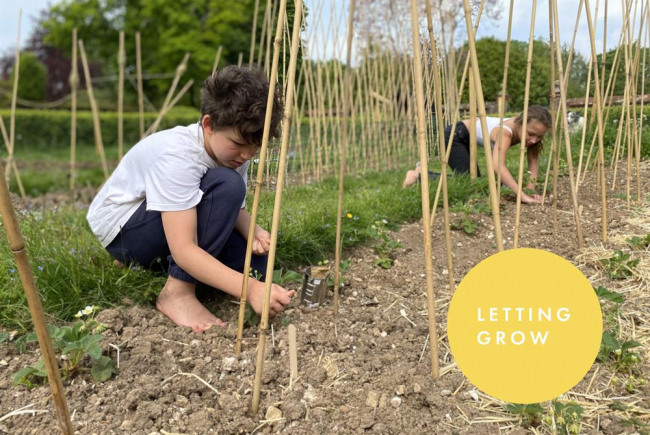  Letting Grow’s School Nature Workshops