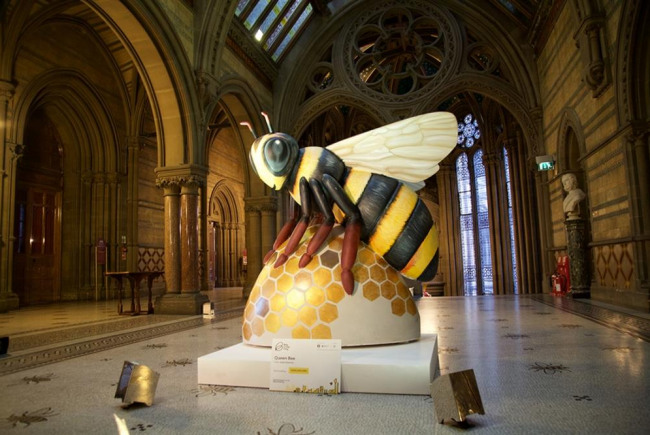 Bee in the City Ardwick