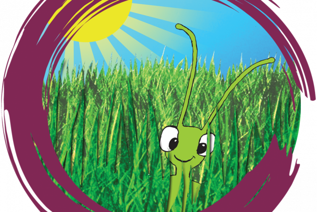 Grasshopper