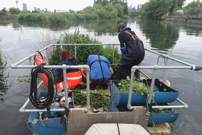 Eco Boat Fund: Revive Channelsea Waters