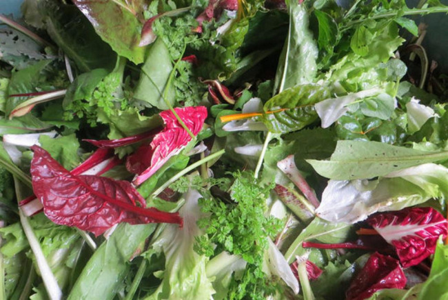 Organiclea Grown