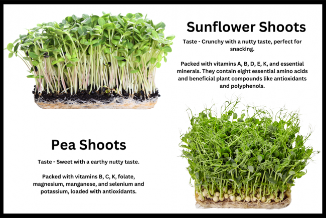 Greening Our Community