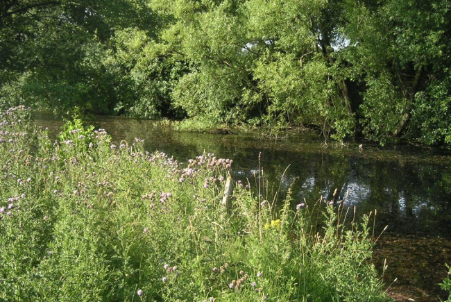 River-Friendly Farming at Fordhall Farm