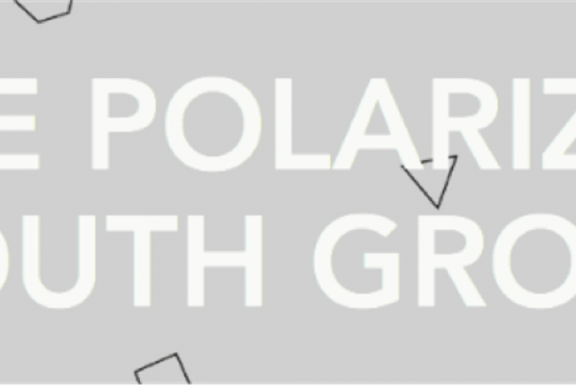Polarized Youth 
