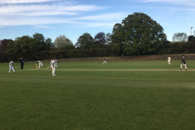 Help save Lutonian Cricket Club 