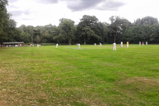 Byron Abbey return to cricket