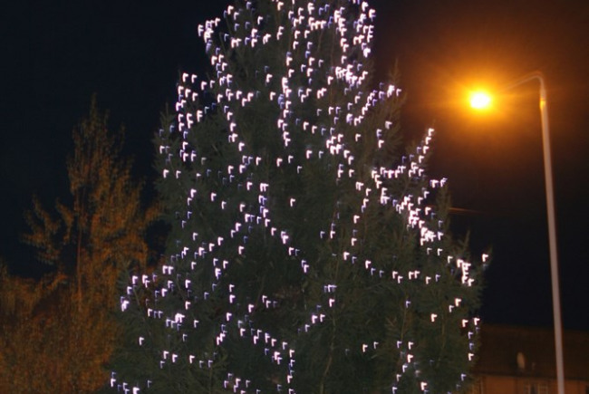 Lighting of Christmas Tree