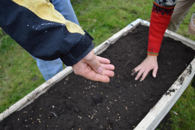 Grow, learn & cook: SAW community garden