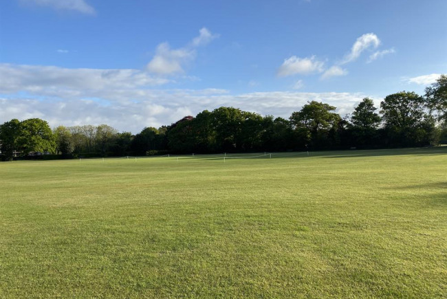 Brentwood Cricket Club Needs Your Help 