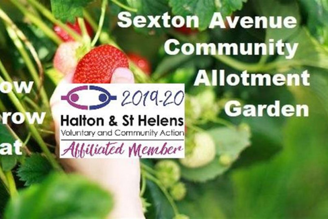 Sexton Avenue Community Allotment Garden