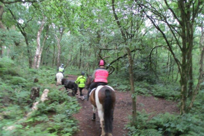 A leg up for horseriders at Delamere 