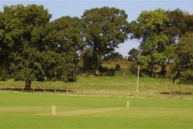 Whitchurch Wayfarers Cricket Restart