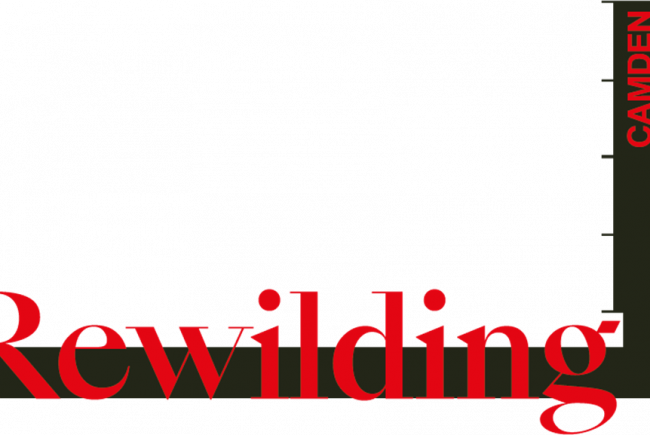 Growing Raglan : Rewilding Camden