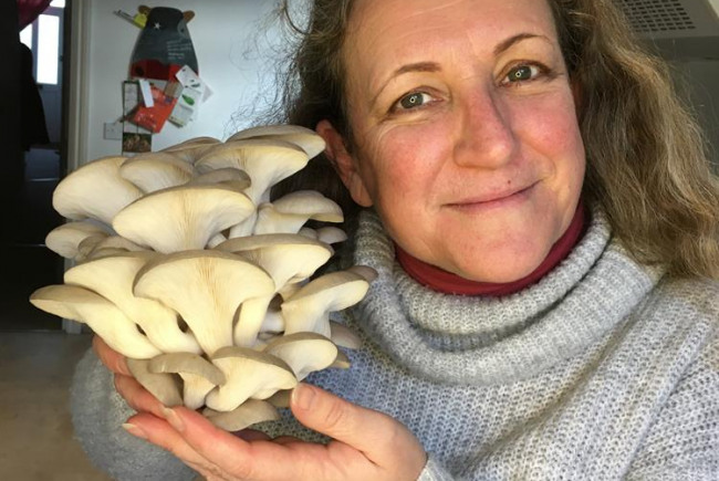 Margate Mushrooms