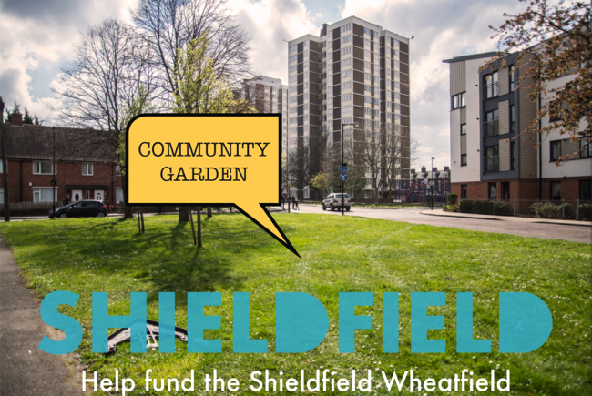 Shieldfield-Wheatfield