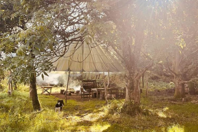 Community forest school in Pirbright
