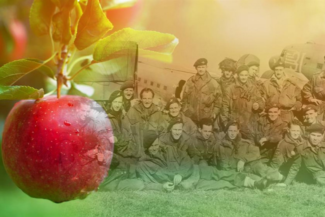 Heroes Commemorative Orchard