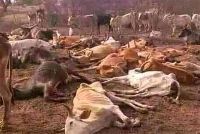 Drought People In Somalia