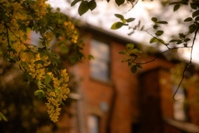Grow a Yoga Home in the Heart of Ludlow