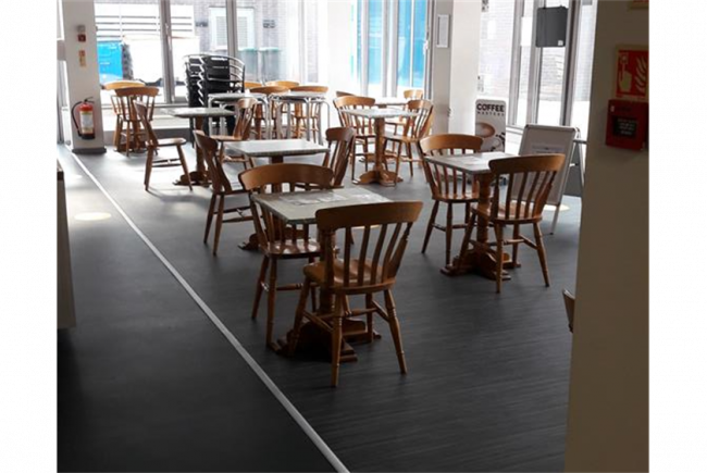 Going Green at Meeting Point House