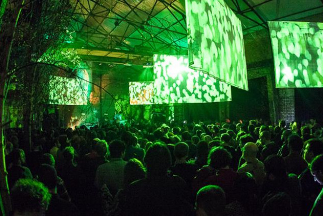Out of Sight Festival