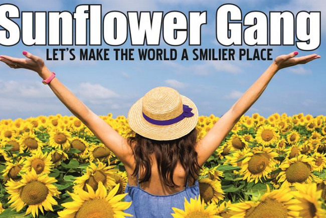 Join the sunflower Gang
