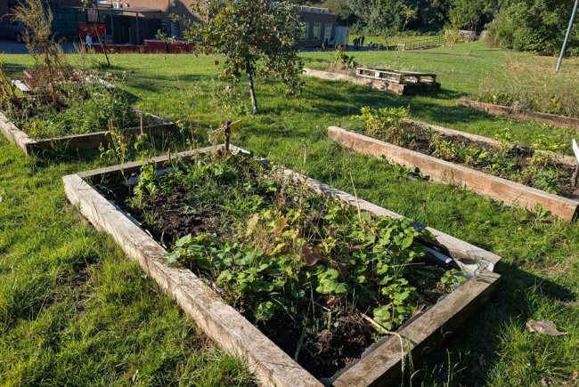 Growing Together: Enfield School Gardens