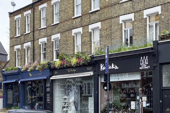 Greening Wandsworth Bridge Road