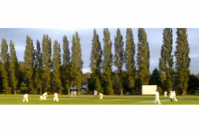 Help The Groves Cricket Club 