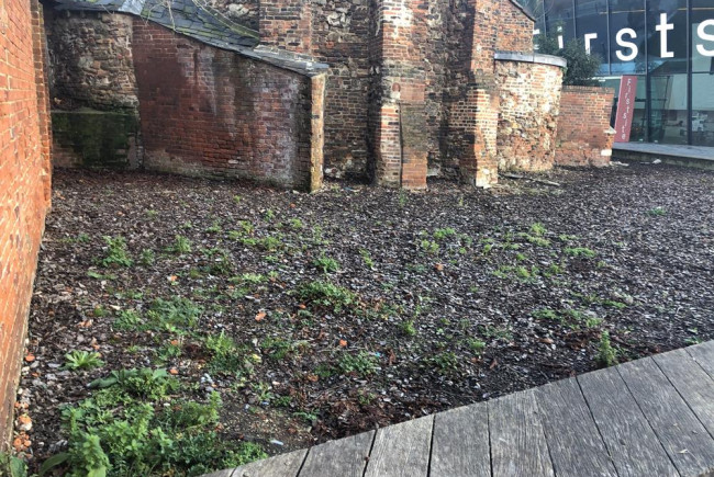 Save transform Folly Garden at Firstsite