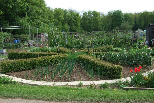 The Green Oasis of Milton Keynes