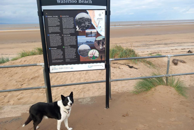 Celebrating Crosby's Coastal Heritage