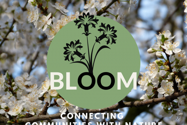 BLooM - Connecting with Nature