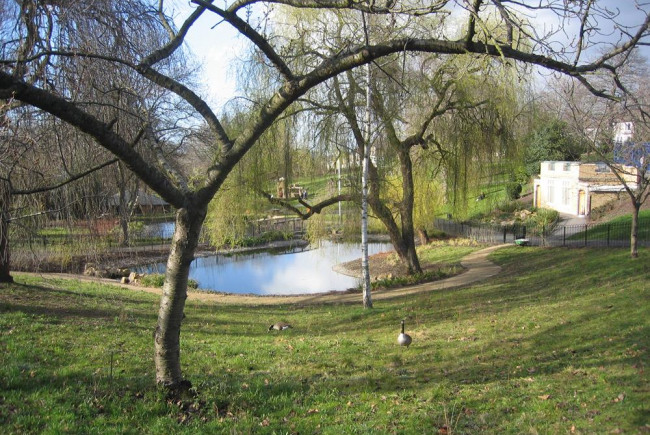 A Mini-Meadow for Telegraph Hill Park